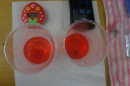 [Left: Ice melting in 60 ml cold water; Right: Ice melting in 60 ml hot water]